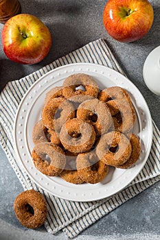 Sweet Homemade Mini Apple Cider Donuts
