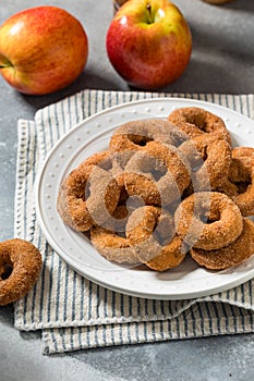 Sweet Homemade Mini Apple Cider Donuts