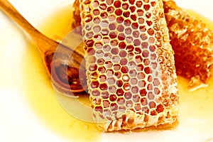 Sweet honeycomb with honey.