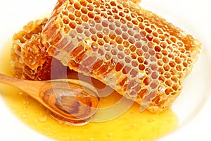 Sweet honeycomb with honey on the white.