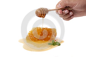 sweet honeycomb piece