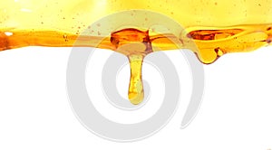 Sweet honeycomb and wooden dipper with dripping honey isolated on white background.