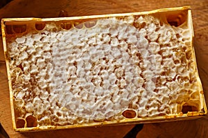 Sweet honeycomb on wooden dish, top view, fresh organic product