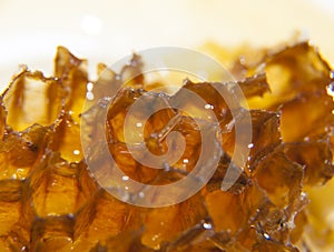 Yellow sweet honey in honeycombs bee