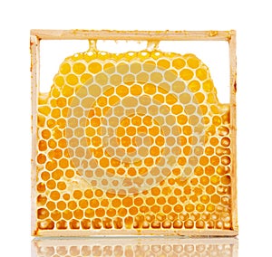 Sweet honeycombs with honey