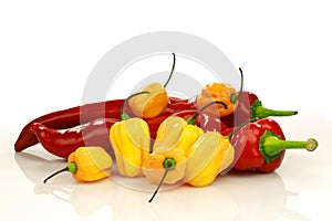 Sweet and hot peppers