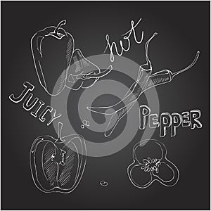 Sweet and hot peppers. Set of hand drawn vegetables. Vector illustration on the chalkboard