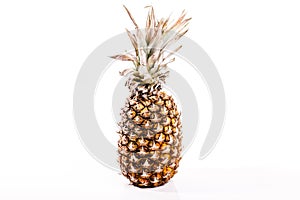Sweet isolated ananas pineapple
