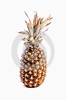 Sweet isolated ananas pineapple