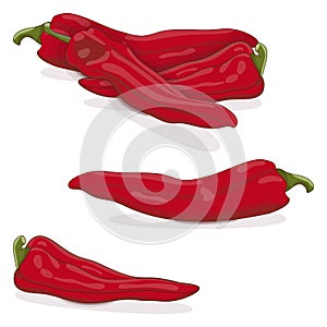 Sweet Italian chili peppers. Cartoon style.