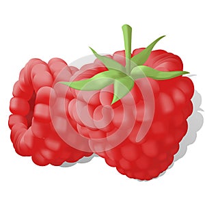 Sweet juicy ripe raspberries