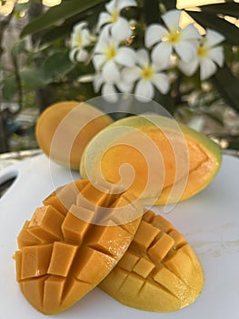 Sweet juicy ripe yellow mangoes on a green background under harsh shadow