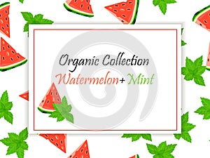 Sweet juicy slice of watermelon and mint