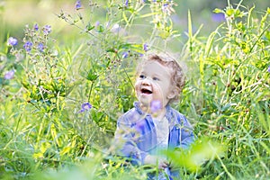 Sweet laughing baby girl in a purple sweater in meadow