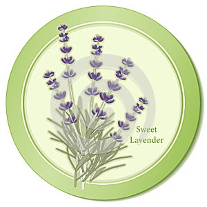 Sweet Lavender Herb Icon