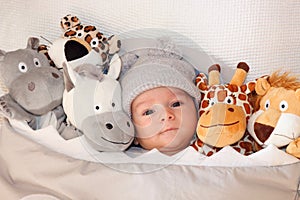 Sweet little baby lying on the bed surrounded of cute safari stuffed animals