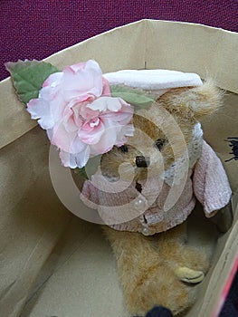 Sweet little bear gift in paper bag