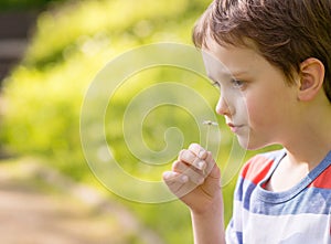 Sweet little boy smelling a daisy