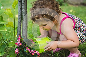Sweet little girl with curly hair watering colorful flowers and a tree in the garden