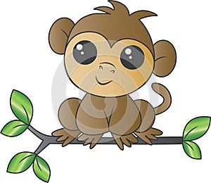 A sweet little monkey sitting on a branch