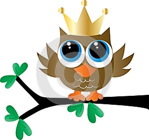 A sweet little owl with a golden crown