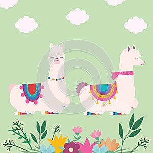 sweet llamas pair