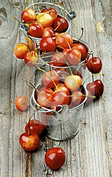 Sweet Maraschino Cherries