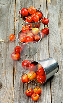 Sweet Maraschino Cherries