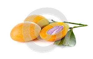 Sweet Marian plum thai fruit isolated on white background Mayongchid Maprang Marian Plum and Plum Mango,Thailand