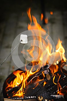 Sweet marshmallows on stick over the bonfire