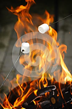 Sweet marshmallows on stick over the bonfire