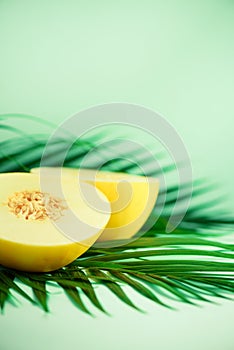 Sweet melon over tropical green palm leaves on turquoise background. Copy space. Pop art design, creative summer concept. Raw