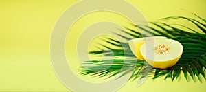 Sweet melon over tropical green palm leaves on yellow background. Copy space. Pop art design, creative summer concept