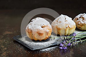 Sweet muffin from gluten free flour and lavender, sprinkled with sugar powder. Homemade baking. Organic healthy vegetarian food.