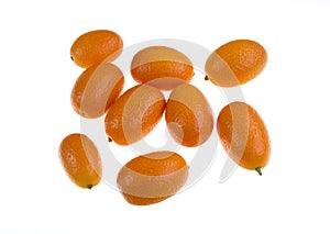 Sweet Nagami Cumquat photo