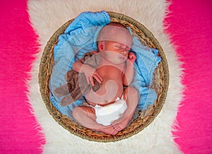 Sweet newborn baby sleeps with a toy hare