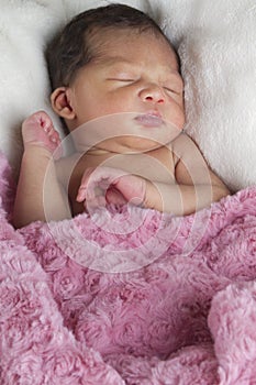 sweet newborn girl wrapped in a pink blanket