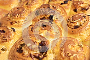 Sweet norwegian swirls cinnamon rolls