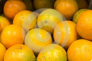 Sweet oranges fruits( mineola) on a market in Arequipa, Peru