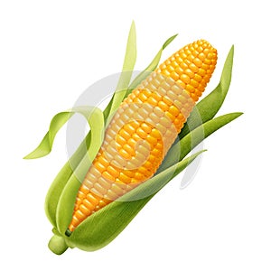 Sweet organic corncob