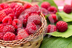 Sweet Organic Raspberries in a Basket