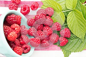 Sweet Organic Raspberries in a Bowl