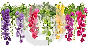 Sweet pea hanging group plants isolated on white background