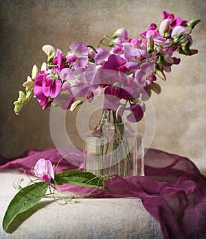 Sweet peas