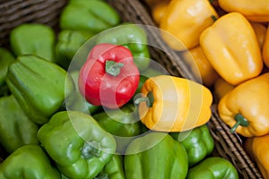 Sweet pepper, green pepper, vegetables