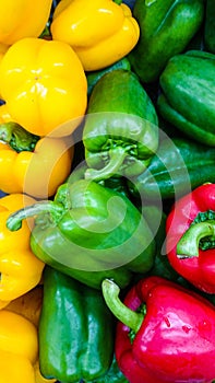 Sweet peppers in the supermarket.!!!