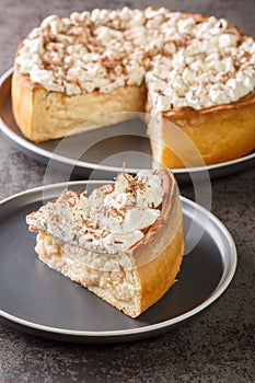 Sweet pie with a filling based on rice pudding topped with whipped cream and chocolate chips close-up in a plate. Vertical