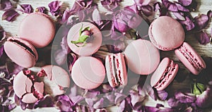 Sweet pink macaron cookies and rose buds and petals, close-up photo