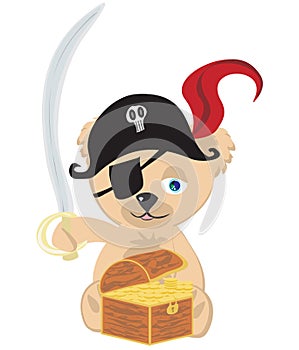 Sweet pirate bear