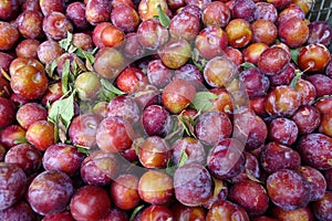 Sweet plums